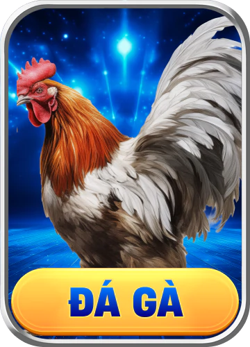 đá gà