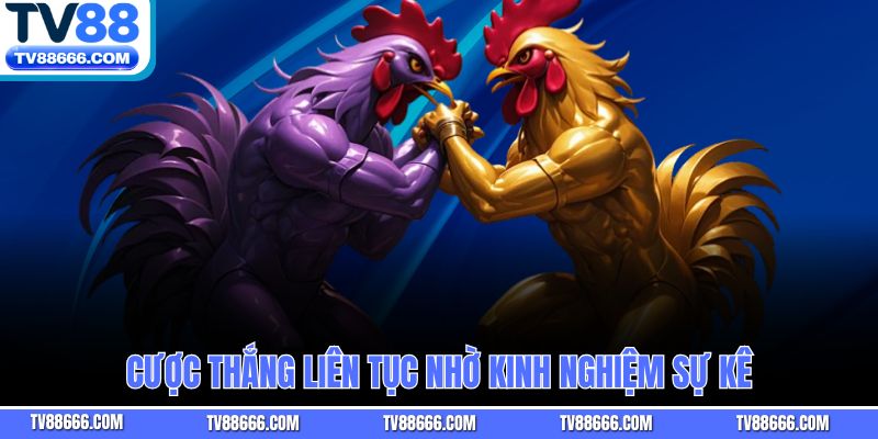 Cược thắng liên tục nhờ kinh nghiệm sự kê