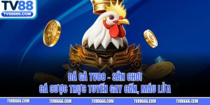 Đá Gà TV88 – Sân Chơi Cá Cược Trực Tuyến Gay Cấn, Máu Lửa