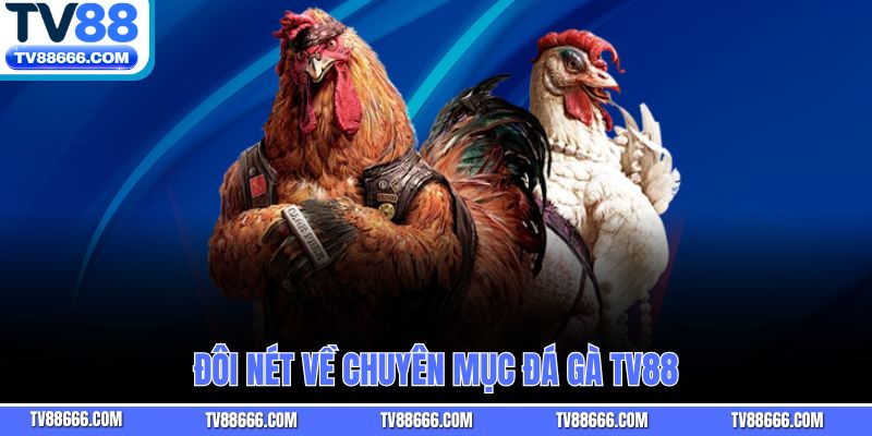 Đôi nét về chuyên mục đá gà TV88