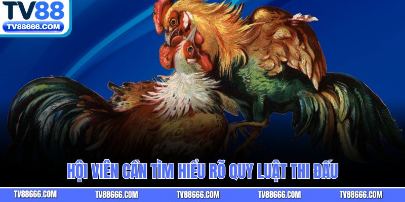 Hội viên cần tìm hiểu rõ quy luật thi đấu
