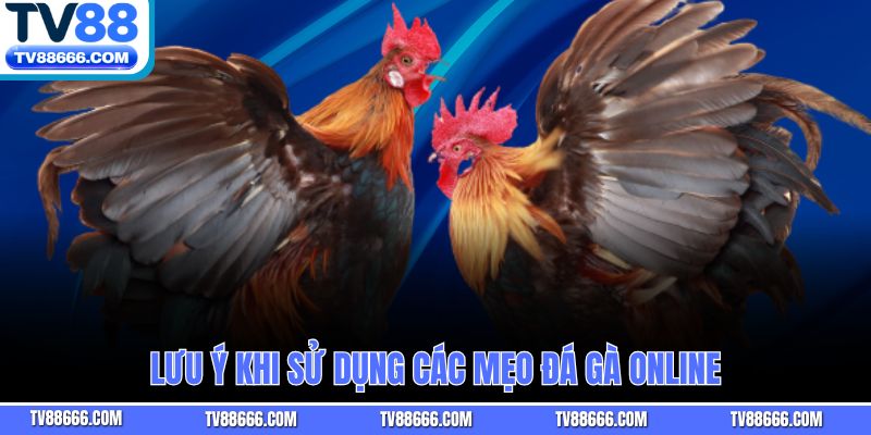 Lưu ý khi sử dụng các mẹo đá gà online