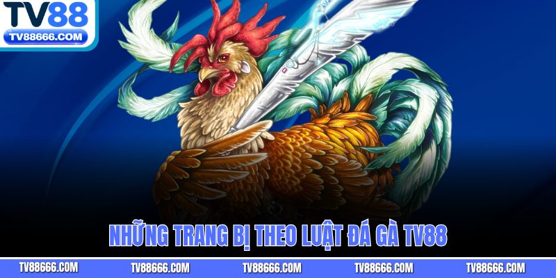 Những trang bị theo luật đá gà TV88