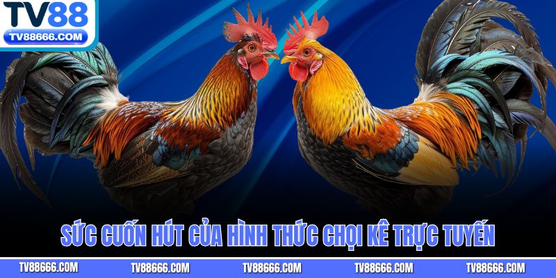 Sức cuốn hút của hình thức chọi kê trực tuyến